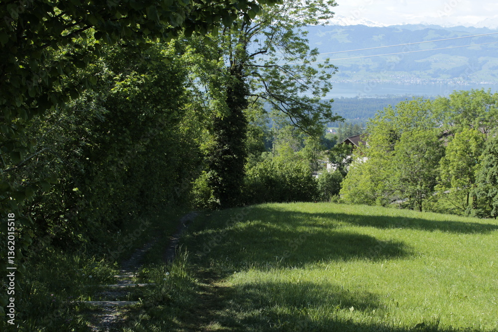 Fototapeta premium Bachtel - Mai 2018 - Zurich, Switzerland