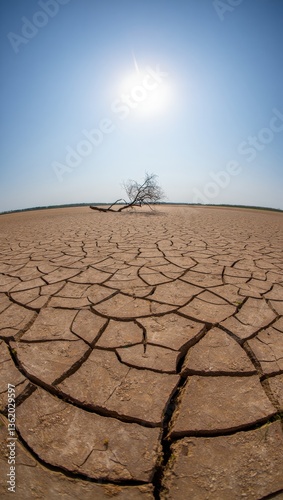 Drought and Parched Lands. Cracked Earth Under Scorching Sun, Water Scarcity