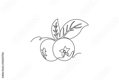 blueberries. Fruits concept. Single line draw design. Vector graphic illustration