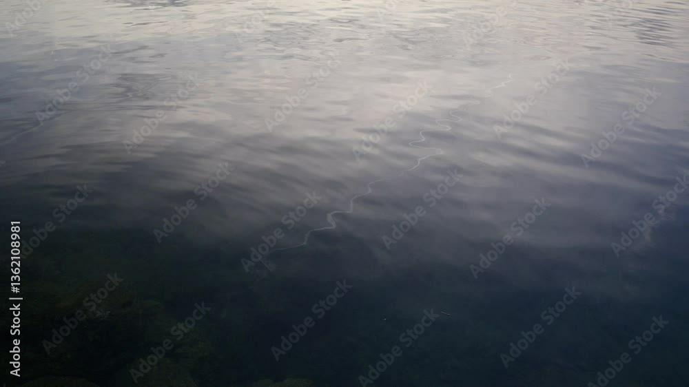 water reflection in water water reflection in water