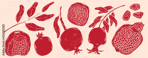 Garnet fruit vector sketch illustration. Linocut style hand drawn food for menu and decoration clip art. Sketch Pomegranate fruits and leaves on a branch, isolated engraved sign.