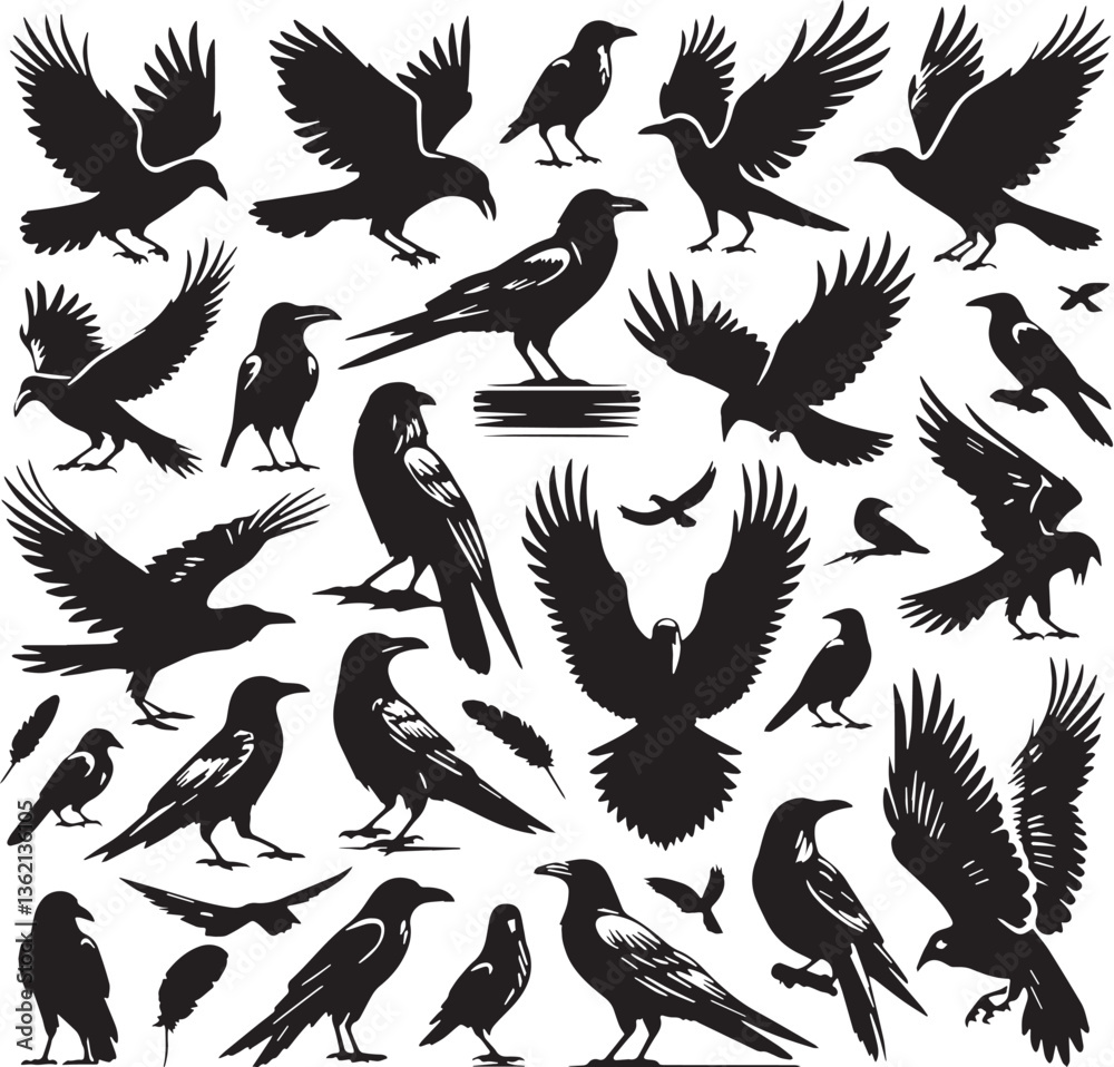 Obraz premium Black Color Crow Silhouette Vector Illustration, Solid White Background