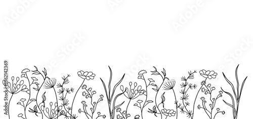Wild blooming meadow flowers and herbs border. Horizontal banner, floral overlay backdrop. Botanical monochrome ink sketch style hand drawn vector illustration isolated 