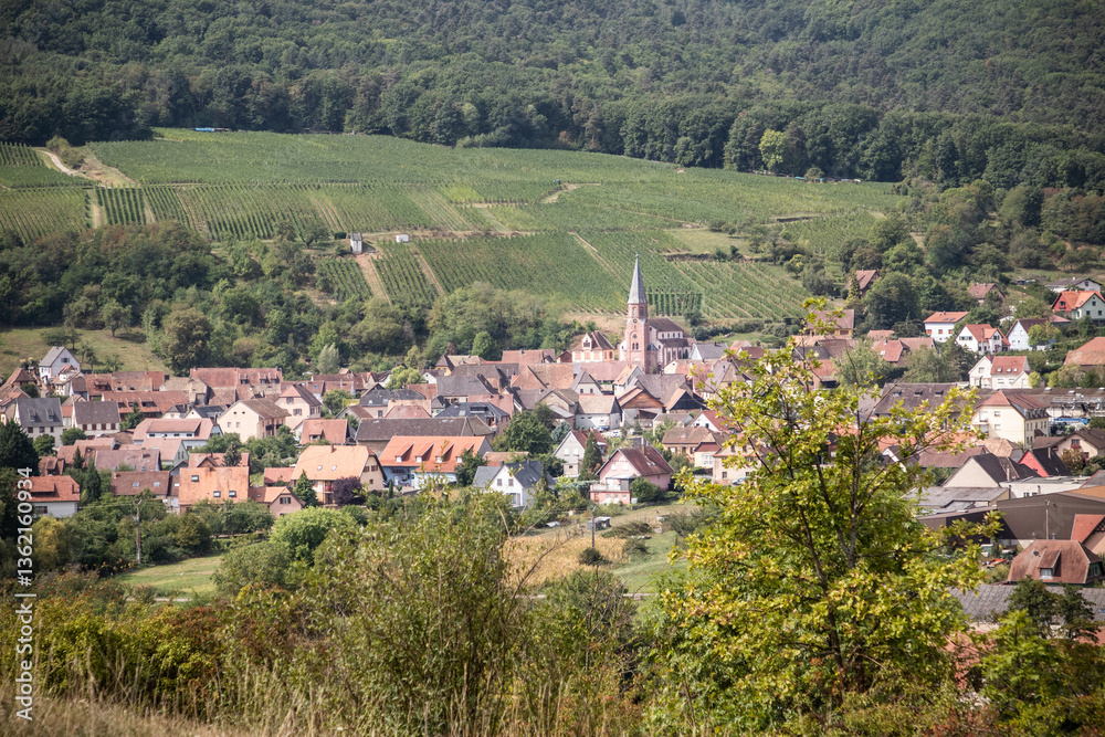 Fototapeta premium Village Orschwihr, alsace