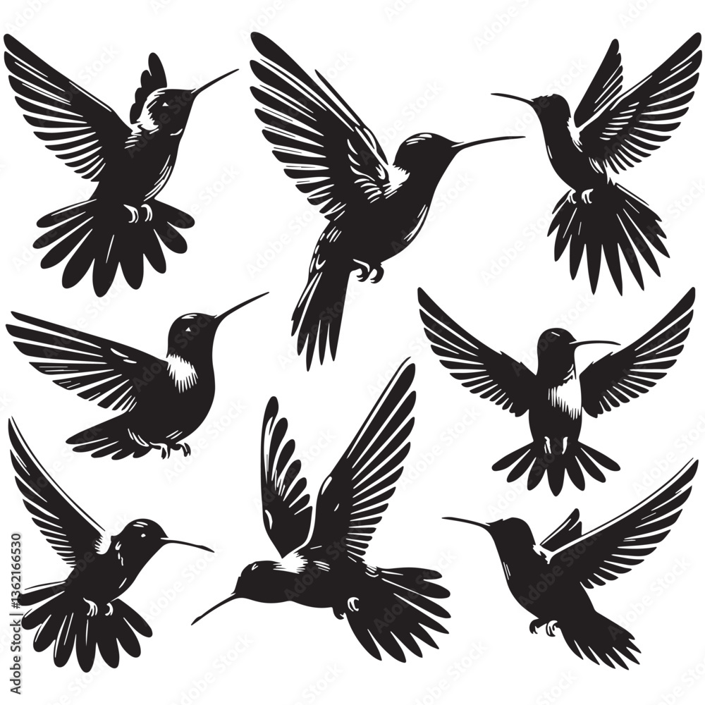 Obraz premium Black Color Hummingbird Silhouette Vector Illustration, Solid White Background