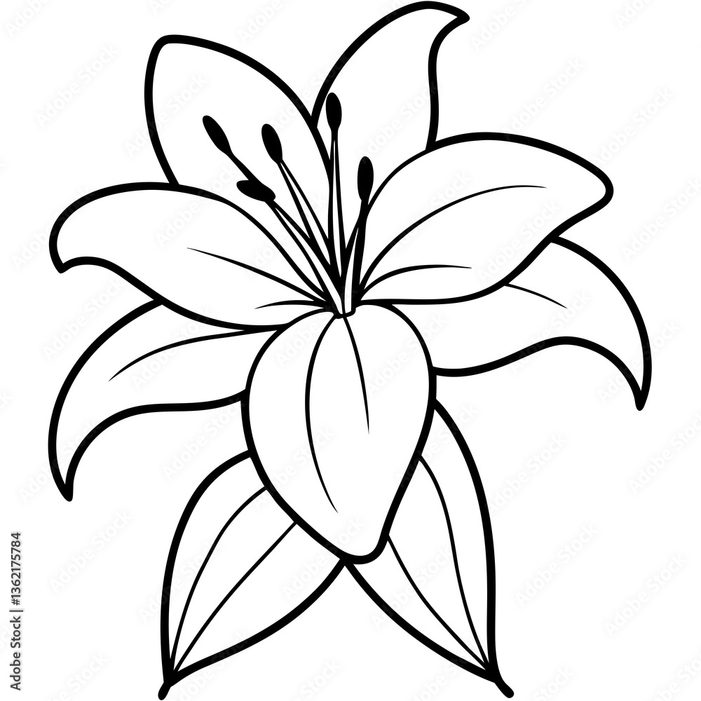 Fototapeta premium Beautiful Amaryllis flower vector design, perfect for digital and print projects.