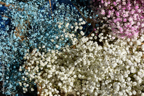 Colorful Baby’s Breath Flowers in Blue, White, and Pink