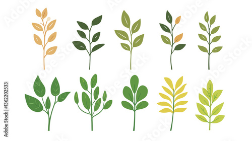 A fresh leaf sprout representing new growth, symbolizing the beauty of nature's renewal. This image captures the delicate and vibrant beginnings of a plant’s life cycle, reflecting the theme of growth