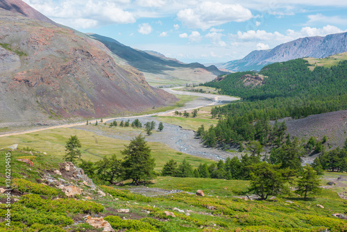 Scenic vast sunny top view from pass with rich green plants and coniferous trees to wide valley with long mountain river to horizon. Sunlit vivid lush alpine flora. Creek flows into river in sunlight.