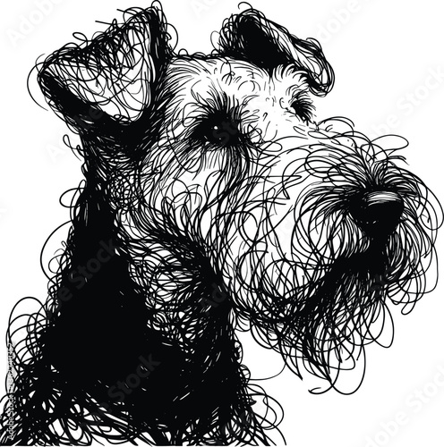 Airedale Terrier Dog Messy Line Drawing