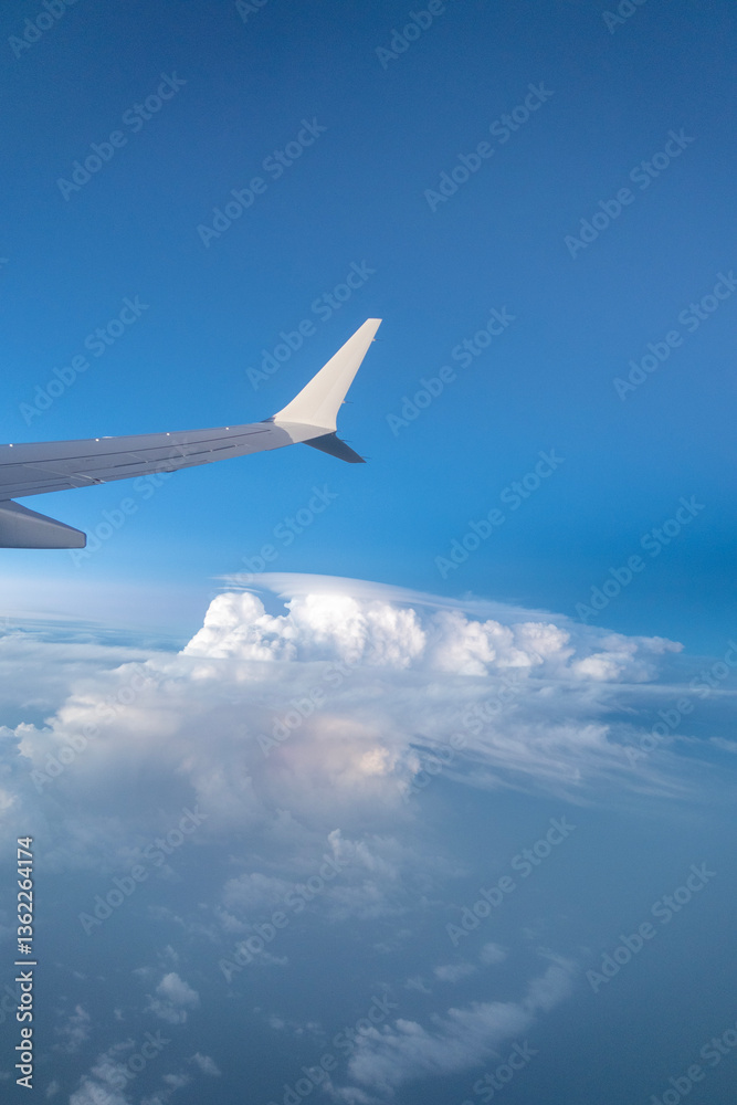 Fototapeta premium airplane in the sky