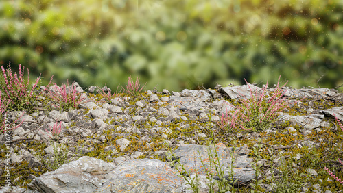 Realistic Nature Scene – Lush Greenery, Rock & Autumn Leaves in High-Quality 3D Render