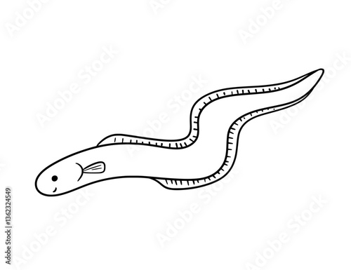 Cute sea eel drawing, vector doodle outline simple illustration for coloring book