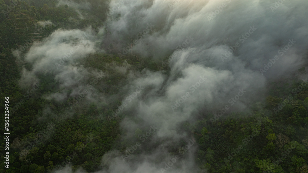 Fototapeta premium landscape, with layers of fog and vibrant colors painting the horizon. The serene atmosphere and natural beauty