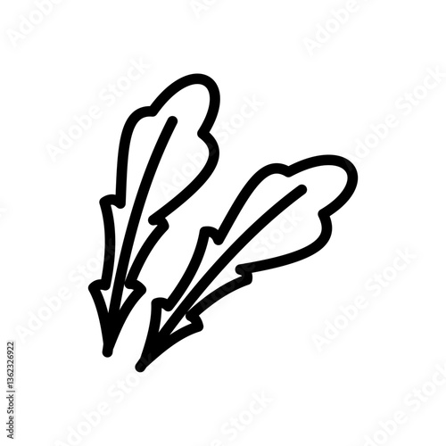 Doodled hand drawn vector illustrations of   arugula or beet leafs healthy salad ingredients. Perfect for kitchen, restaurant, or cafe poster, logo, or simbol design in high resolution.