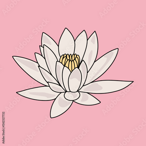 Minimalist White Water Lily Illustration