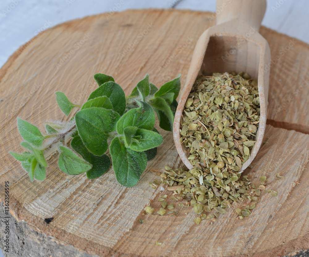 Oregano Oregano