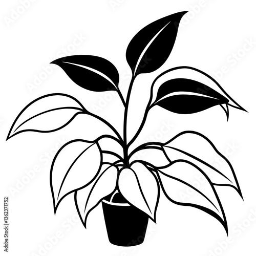 Hoya Flower Vector Graphic Design File
