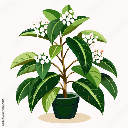 Hoya Flower Vector Graphic Design File