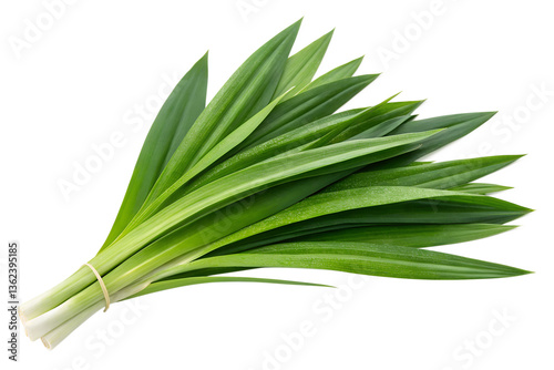 Fresh pandan leaves isolated on transparent background