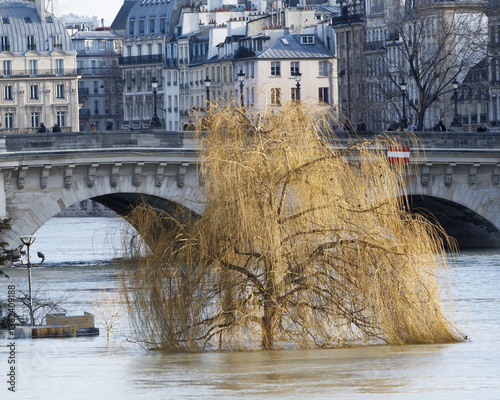 Crue à Paris