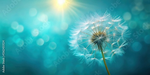 Serene Dandelion Seed Head Illuminated by Sunlight Against a Teal Bokeh Background