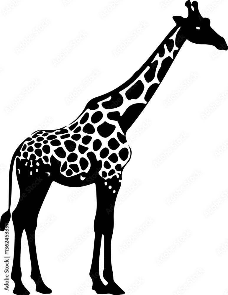 Naklejka premium giraffe vector illustration
