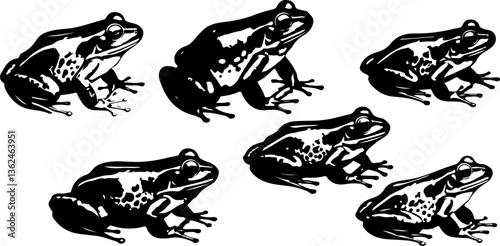 set of frog on white background