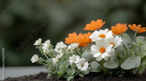 Close up of a flower in a pot surrounded by decorative flower plots with mixed plants