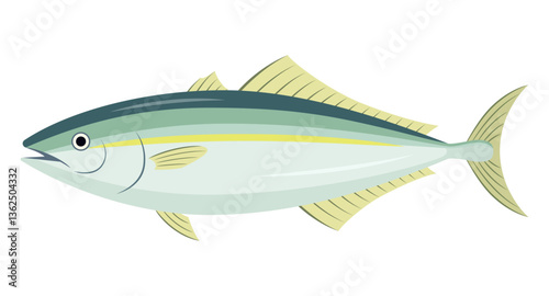 ブリのイラスト