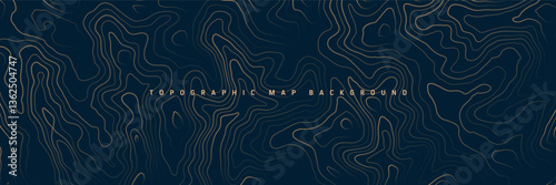 Colorful topographic map with contour lines. Geographic terrain grid, relief height elevation. Ground path pattern. Travel and navigation, cartography design element. Vector illustration