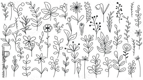 Wild flowers and herbs drawing collection. Various twigs, blades of grass, flowers, buds, herbs, rustic clip art. Ink outline botanical elements set. Vector graphics