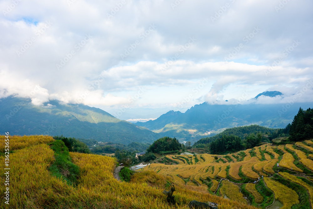 Fototapeta premium Asia, China, Lishui, Zhejiang, Yunhe Terraced Fields