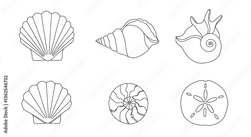 Seashells line art: scallops, spiral, and sand dollar. White background
