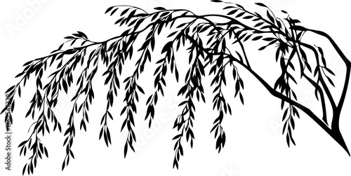 Silhouette of a Willow Branch with Leaves