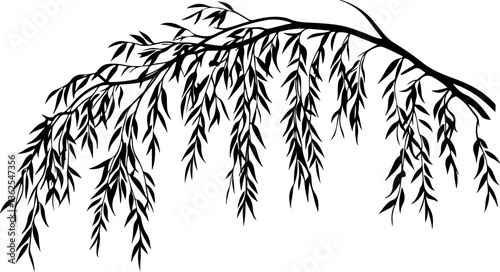 Silhouette of a Willow Branch with Leaves