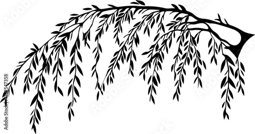 Silhouette of a Willow Branch with Leaves