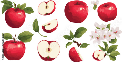 Vibrant red apples isolated against a crisp white backdrop on white background