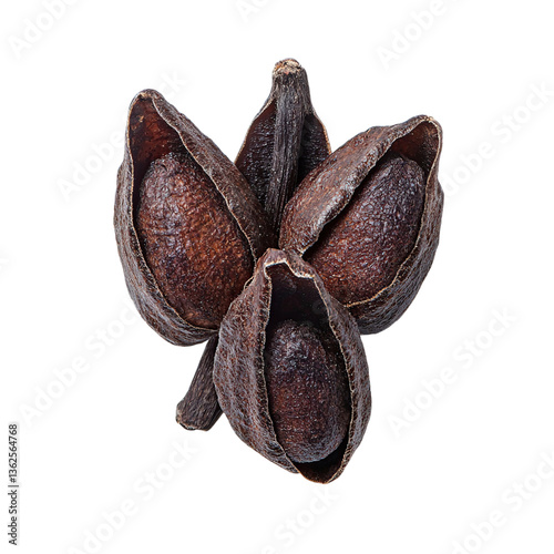 Dried Cardamom Pods Closeup.