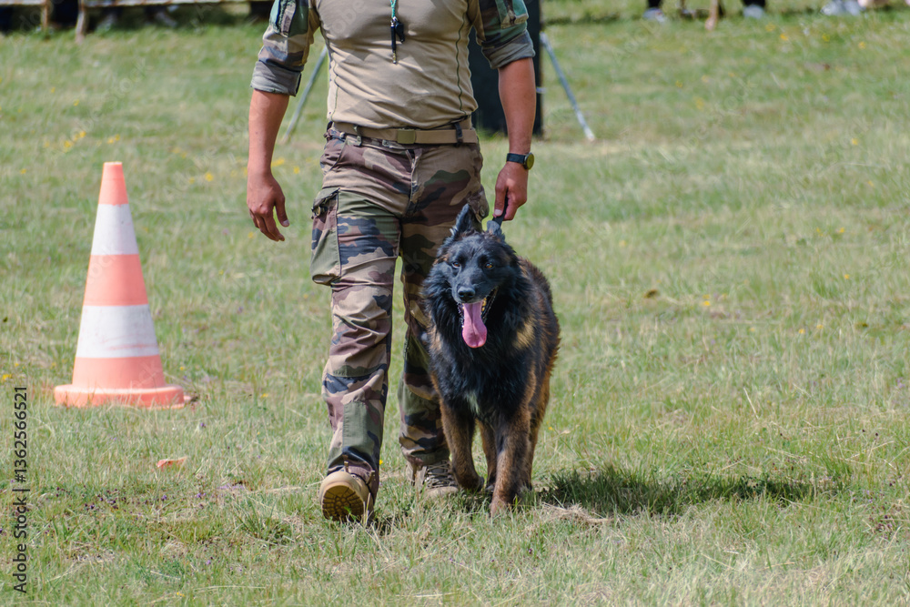 Military dog and military dog trainer, dog team Military dog and military dog trainer, dog team