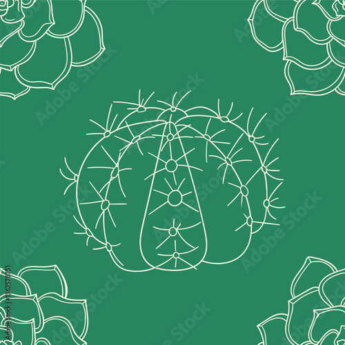 white Seamless vector Ornament To create endless pattern. hand drawn cactus and succulents outline on green background