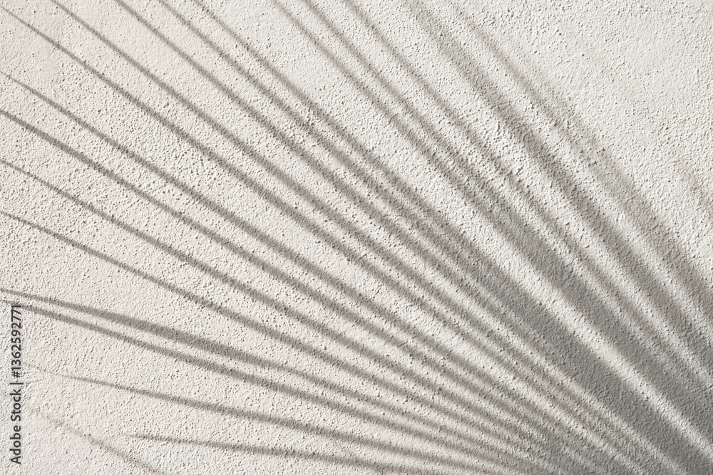 Shadow of palm leaf on white textured background. Mock up of natural overlay lighting shadows leaves. Wall. Template.