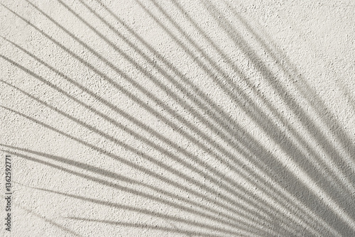 Obraz na płótnie Shadow of palm leaf on white textured background. Mock up of natural overlay lighting shadows leaves. Wall. Template. w salonie