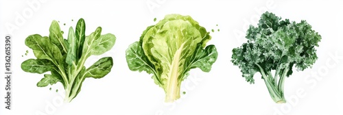 Three isolated compositions showcasing fresh leafy greens in vibrant watercolor style