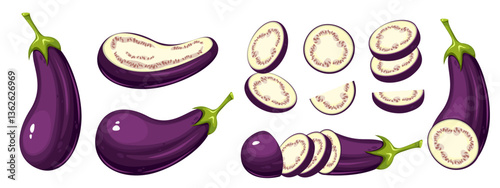 Set of eggplants. Ripe vegetable, eggplant whole, sliced ​​into rings, cut in half. Vector illustration.
