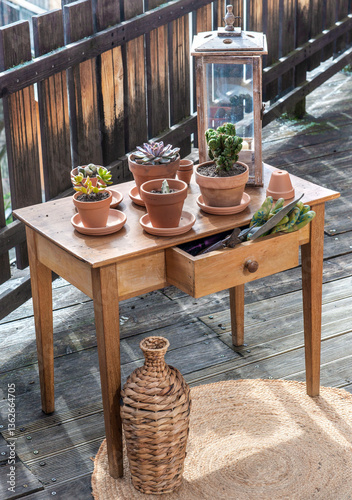 succulent plants in pot on a wooden table on a wooden  terrace and home decor...