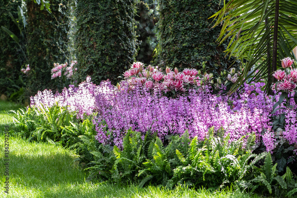 Obraz premium flowers in the garden