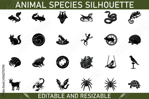 Editable Resizable Animal Silhouettes Diverse Species Collection