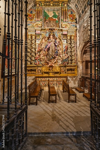 Interior of orense cathedral showing the altar of virgin of carmen