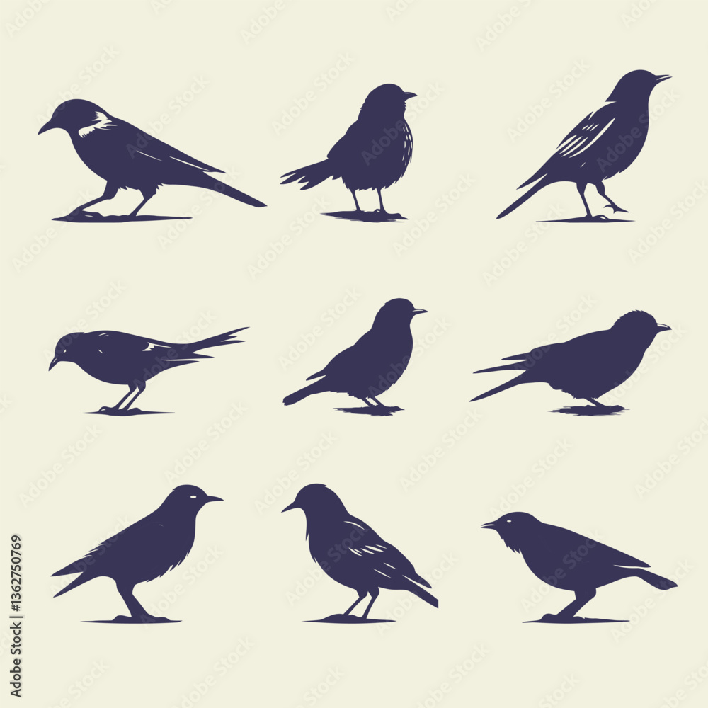 Obraz premium Bird Silhouettes in Various Poses for Wildlife and Ornithology Illustrations